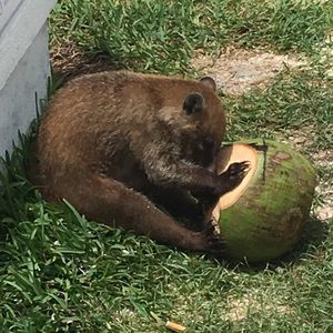 Meet your Posher, Dawn